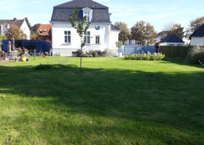Gartenumgestaltung 2019