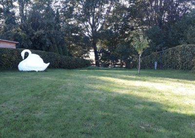 Gartenumgestaltung 2019