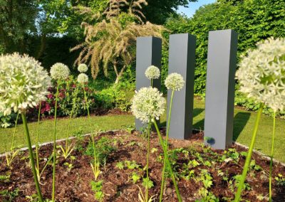Allium