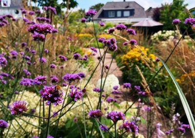 Hausgarten Kalkar
