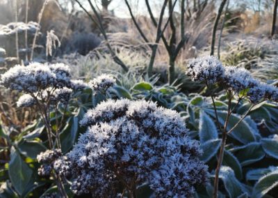 Winteraspekt