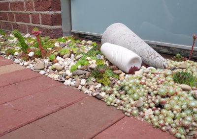 Kiestraufe mit Bepflanzung Sedum