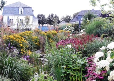 Staudengarten 2020