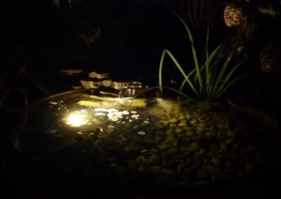 Gartenlicht