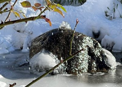 Quellstein Winter