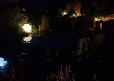 Moonlight