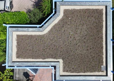Dachbegrünung Hausgarten Kalkar