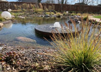 Schwimmteich Hausgarten Kleve
