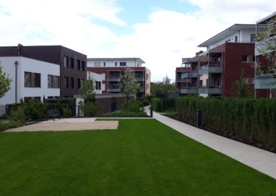 Rollrasen Wohnungsbau
