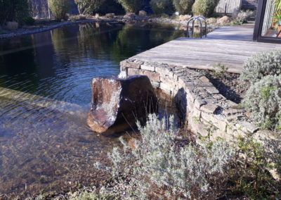 Schwimmteich Hausgarten Kleve