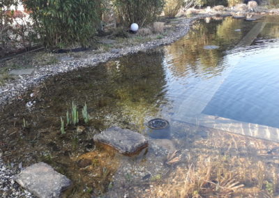 Schwimmteich Hausgarten Kleve