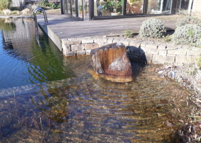 Schwimmteich Hausgarten Kleve