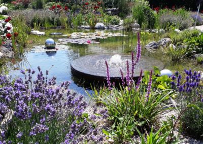 Teich Hausgarten Kalkar